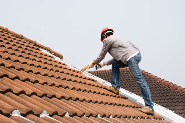 Best Metal Roofing Installation  in Spring Grove, IL